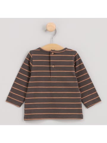 Cotton Fish Longsleeve in Braun