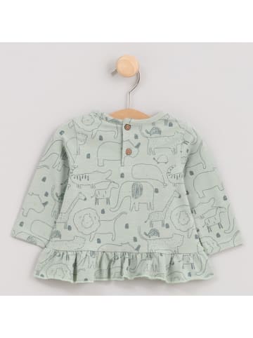 Cotton Fish Longsleeve groen