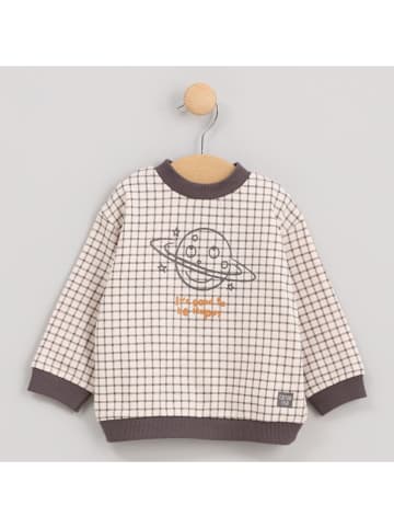 Cotton Fish Sweatshirt in Beige