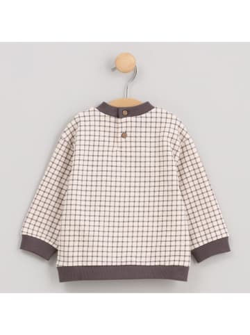 Cotton Fish Sweatshirt in Beige