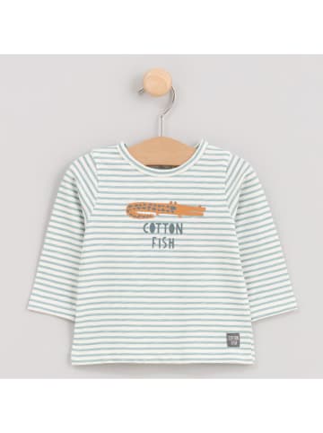 Cotton Fish Koszulka w kolorze kremowym