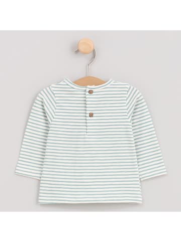 Cotton Fish Longsleeve crème