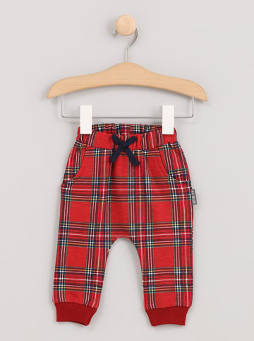Cotton Fish Sweatbroek rood