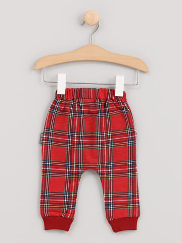 Cotton Fish Sweatbroek rood