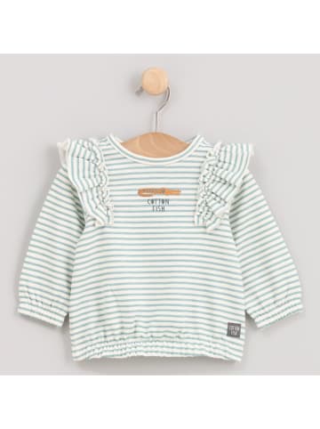 Cotton Fish Sweatshirt in Creme/ Hellblau