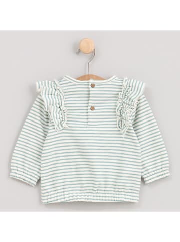 Cotton Fish Sweatshirt crème/lichtblauw