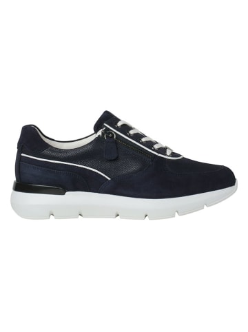 HASSIA Leder-Sneakers in Dunkelblau