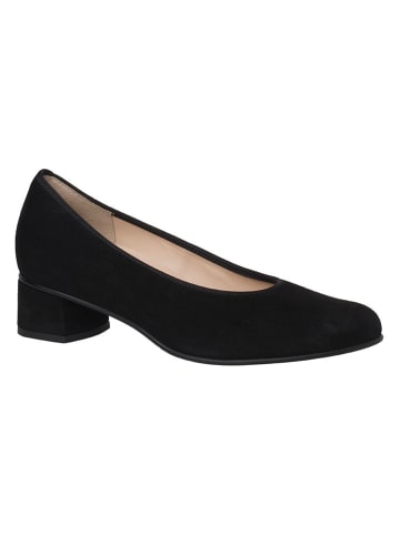 HASSIA Leder-Pumps in Schwarz