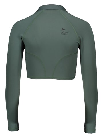 Lacoste Koszulka polo w kolorze zielonym