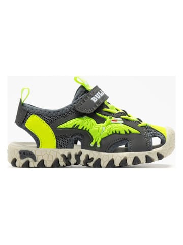 Bull Boys Enkelsandalen "Pterodattilo" antraciet/groen