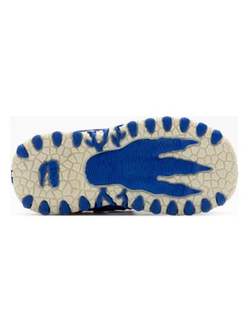 Bull Boys Enkelsandalen "Pterodattilo" blauw/rood