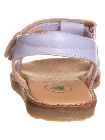 El Naturalista Leder-Sandalen "Atenas" in Lila