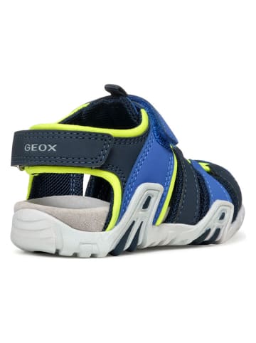 Geox Halbsandalen "Kraze" in Blau/ Gelb