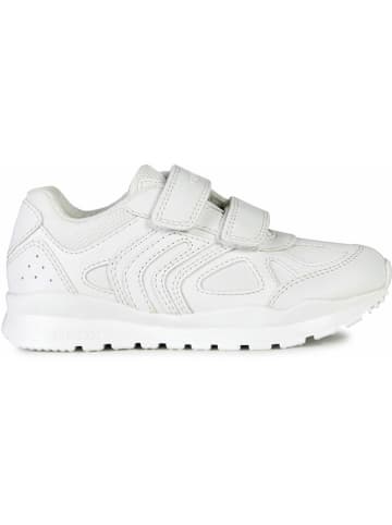 Geox Sneakersy "Pavel" w kolorze białym