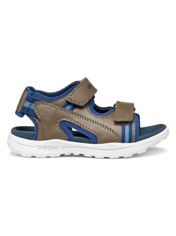 Geox Sandalen "Vaniett" in Braun/ Blau