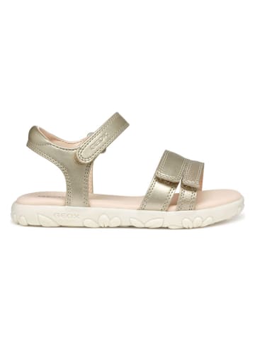 Geox Sandalen "Haiti" goudkleurig