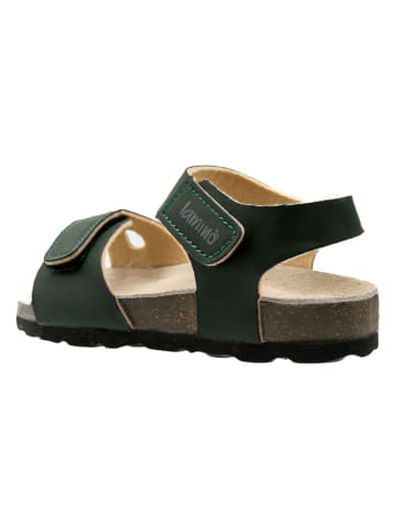 lamino Sandalen groen