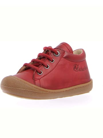 Naturino Leren loopleerschoenen "Cocoon" rood