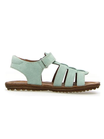 Naturino Leren sandalen "Summer Bands" mintgroen