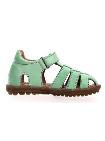Naturino Leren enkelsandalen groen