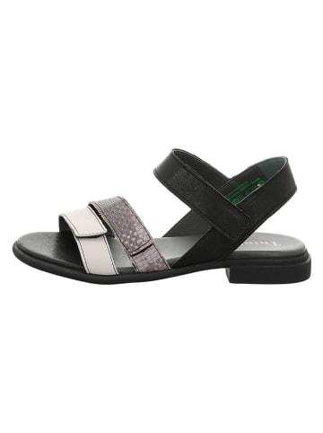 Think! Leder-Sandalen "Kamaa" in Grau/ Schwarz/ Weiß