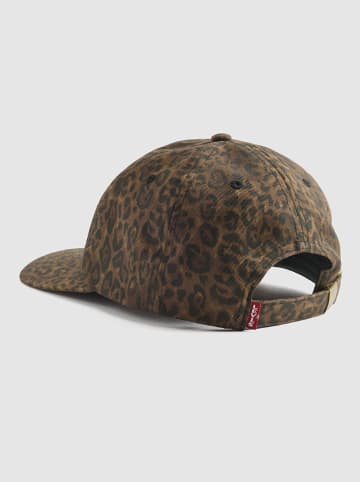 Levi's Pet bruin