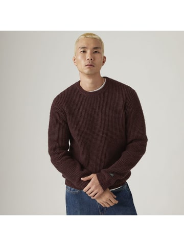Levi's Trui bruin