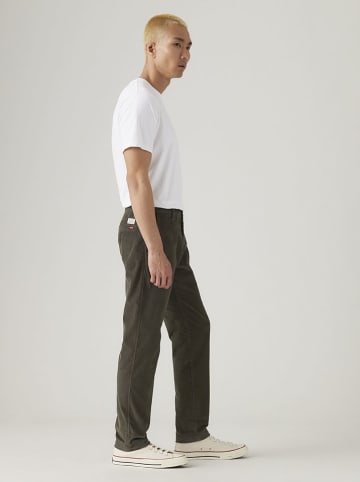Levi's Chino in Braun