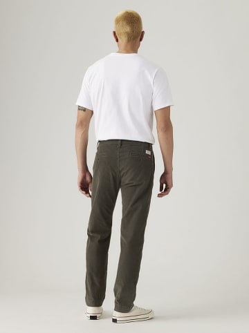 Levi's Chino in Braun