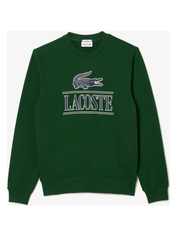 Lacoste Sweatshirt in Grün