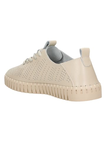 Wojas Skórzane sneakersy w kolorze beżowym