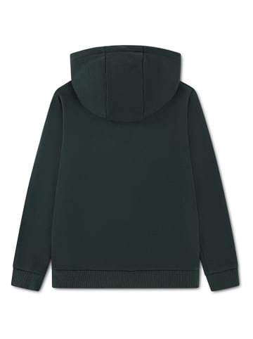 Lacoste Kids Hoodie in Grün