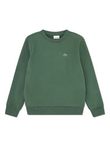 Lacoste Kids Bluza w kolorze zielonym