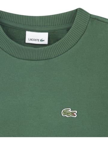 Lacoste Kids Bluza w kolorze zielonym