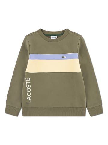 Lacoste Kids Sweatshirt in Khaki