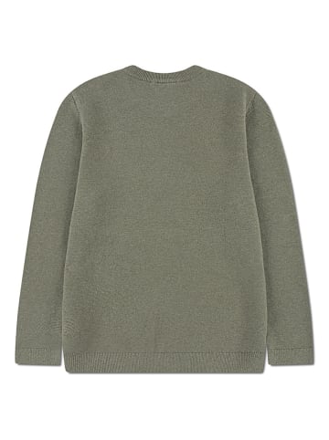 Lacoste Kids Pullover in Khaki