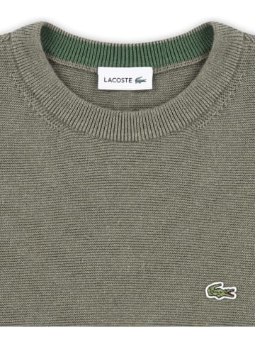 Lacoste Kids Pullover in Khaki