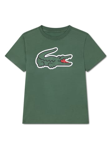 Lacoste Kids Shirt in Grün