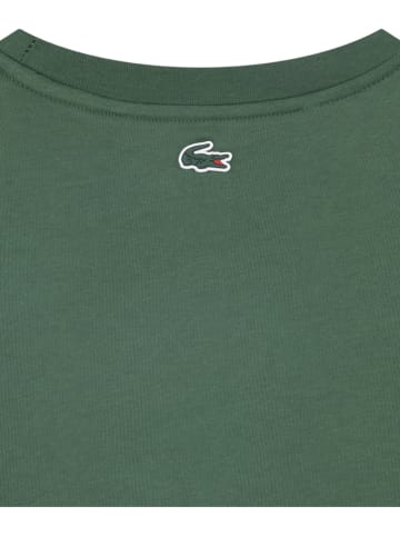 Lacoste Kids Shirt in Grün