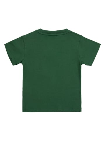 Lacoste Kids Shirt in Grün