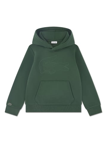 Lacoste Kids Bluza w kolorze zielonym