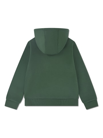 Lacoste Kids Hoodie in Grün