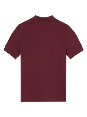 Lacoste Kids Poloshirt rood