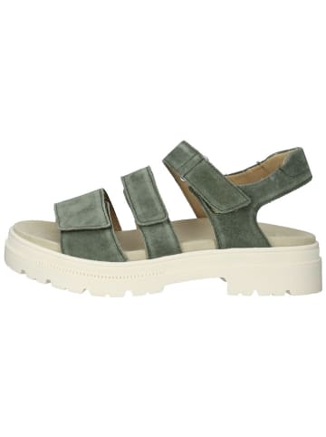 Ara Shoes Leder-Sandalen in Grün