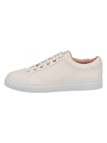 JOOP! Leder-Sneakers in Creme/ Weiß