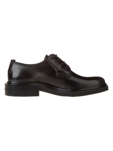 Calvin Klein Leder-Schnürschuhe in Schwarz