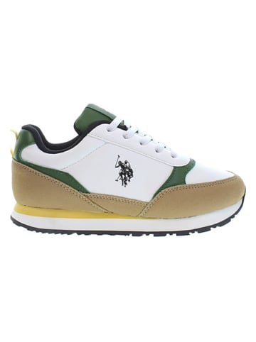 U.S. Polo Assn. Sneakers in Weiß/ Beige/ Grün