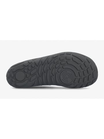 Groundies Barefootschoenen "Chamonix TR Low" grijs