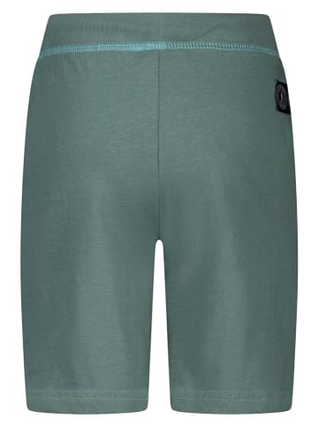 Salt and Pepper Sweatshorts in Grün