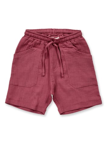 Sense Organics Shorts "Pak" in Rot